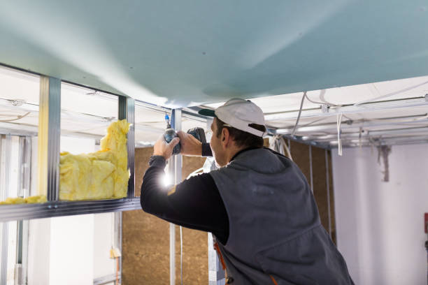 Best Eco-Friendly Insulation in Palmyra, IN