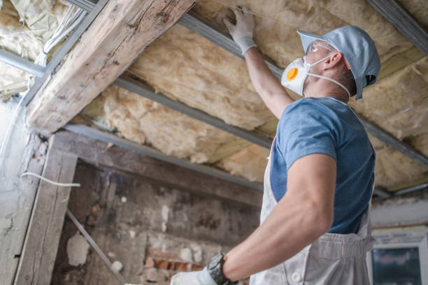 Best Insulation Maintenance and Repair in Palmyra, IN
