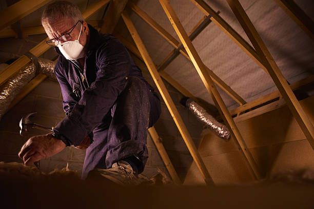 Trusted Palmyra, IN Insulation Contractor Experts